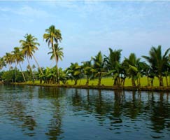 Trip To Poovar